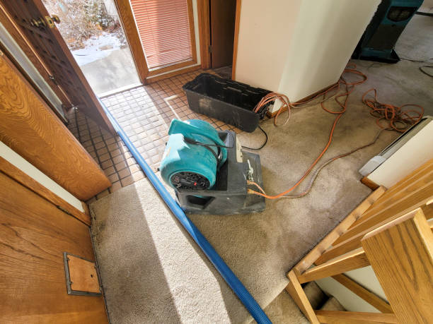Best Carpet water damage restoration  in Mino, CA