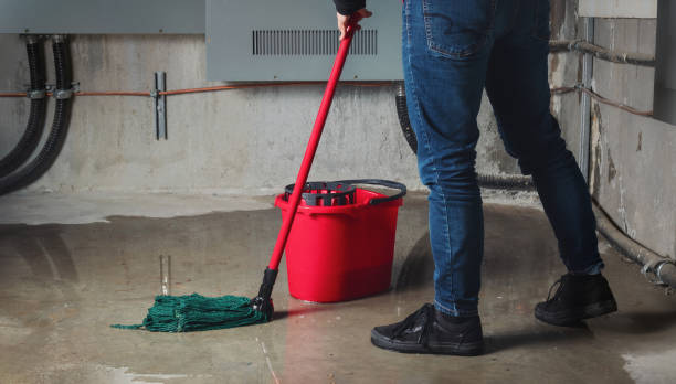 Water damage restoration mold remediation in Camino, CA