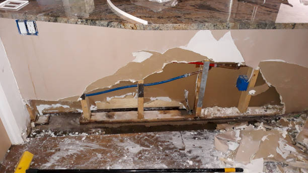 Best Water damage restoration mold remediation  in Mino, CA