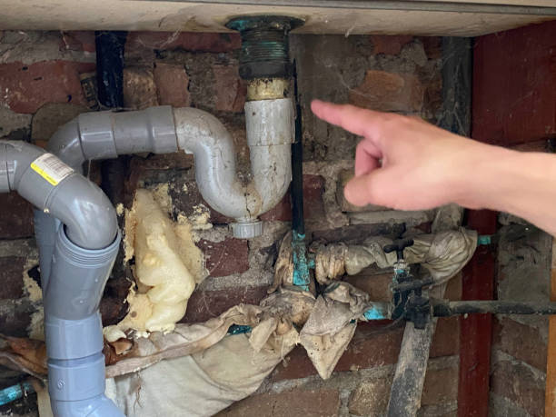 Best Ceiling water damage repair  in Mino, CA