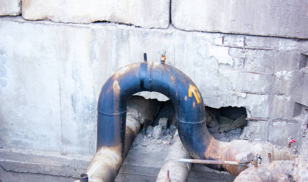 Best Water damage restoration near me  in Mino, CA